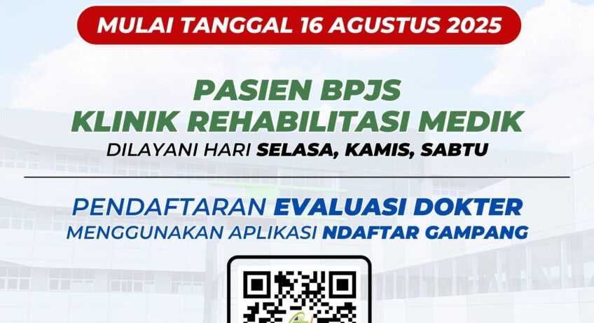 Daftar Anti Rungkat Terbaik untuk Mencegah Alergi – Pilih Mana yang Tepat untuk Anda