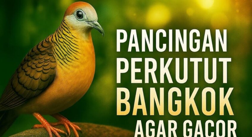 Daftar Gacor Terbaru: Tips dan Trik Suara Burung Gacor